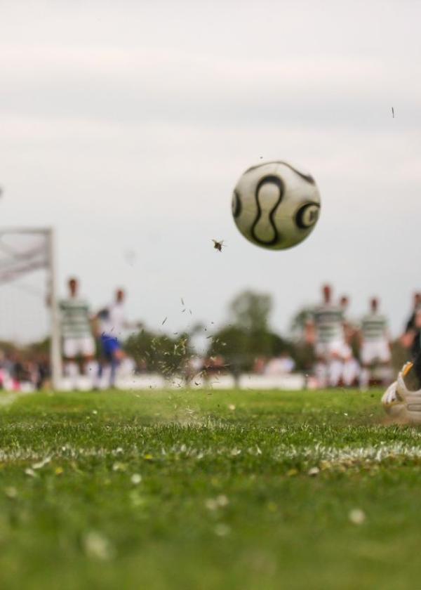 BLG